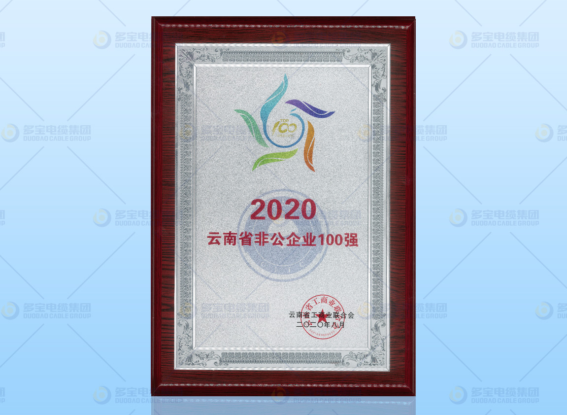 2020云南省非公企业100强