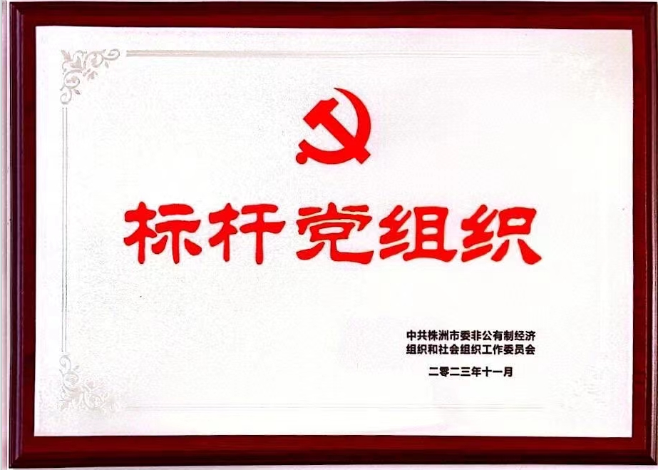 標(biāo)桿黨組織