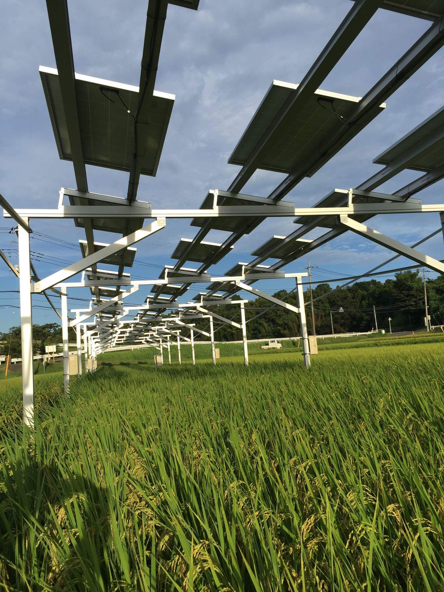 Solar Farm Project 89kw in Japan
