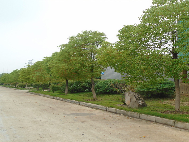 園區(qū)環(huán)境 園區(qū)環(huán)境