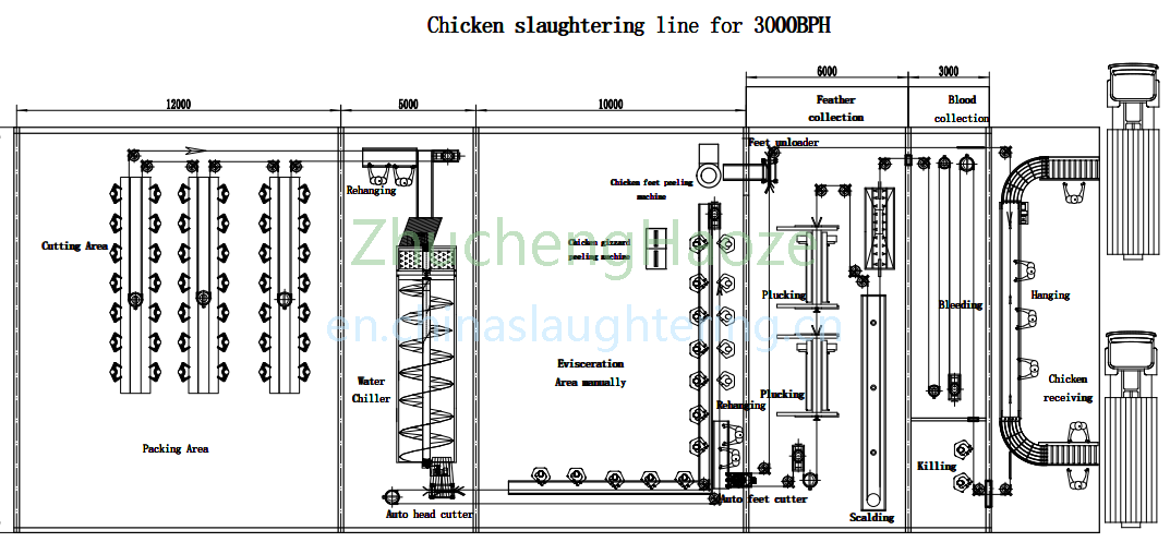 3000 BPH Slaughter Line General Layout 3000 BPH Slaughter Line General Layout