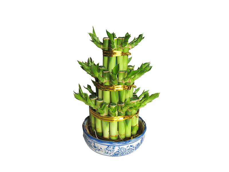 塔竹（三層）