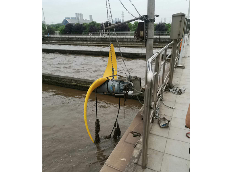 荊門石化推流器大修SR4410/011  2.3KW