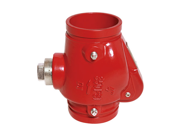 Grooved check valve