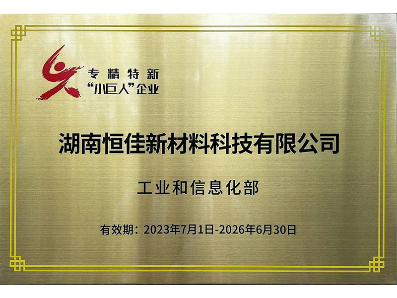 專(zhuān)精特新小巨人企業(yè)