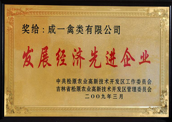 發(fā)展經(jīng)濟(jì)先進(jìn)企業(yè)