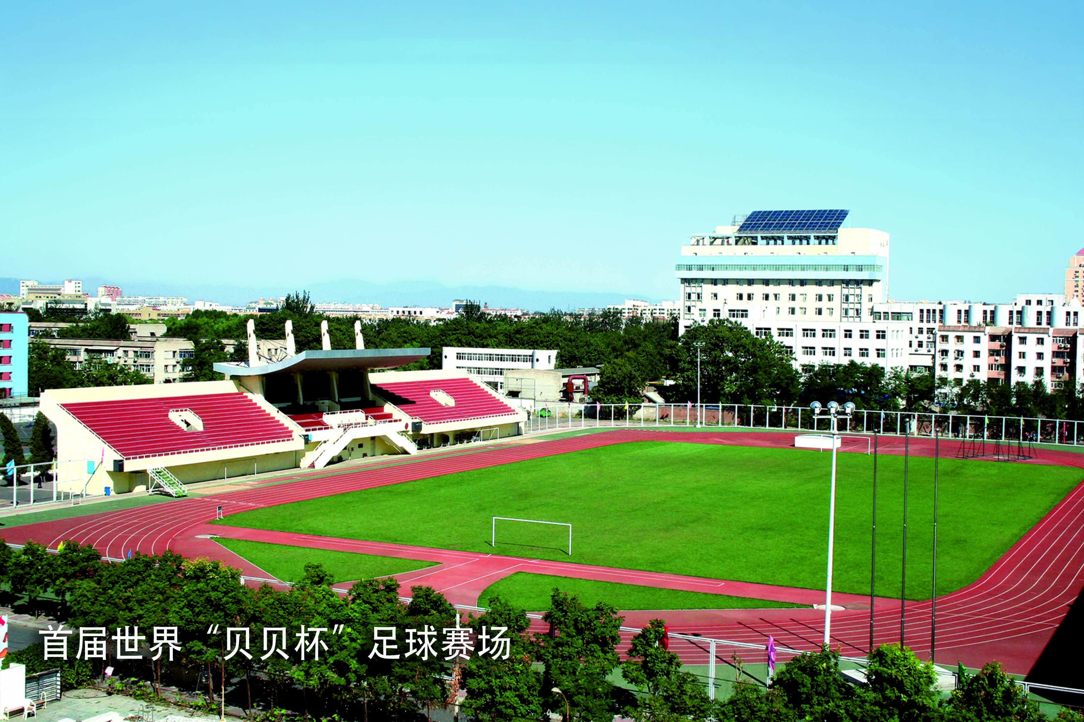 首届世界“贝贝杯”足球赛场2