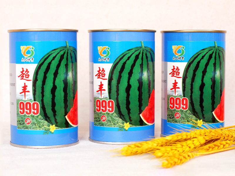 超豐999