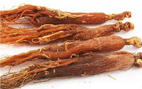 Red Ginseng Extract