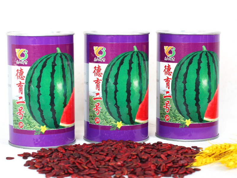 德育二號(hào)