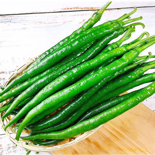 二荊條青辣椒3斤當季農家新鮮蔬菜 黄陵县地址0rk港斑盒在