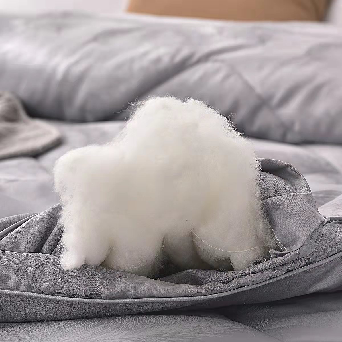 窗口