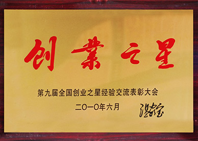 創(chuàng)業(yè)之星