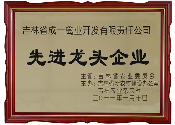 先進(jìn)龍頭企業(yè)