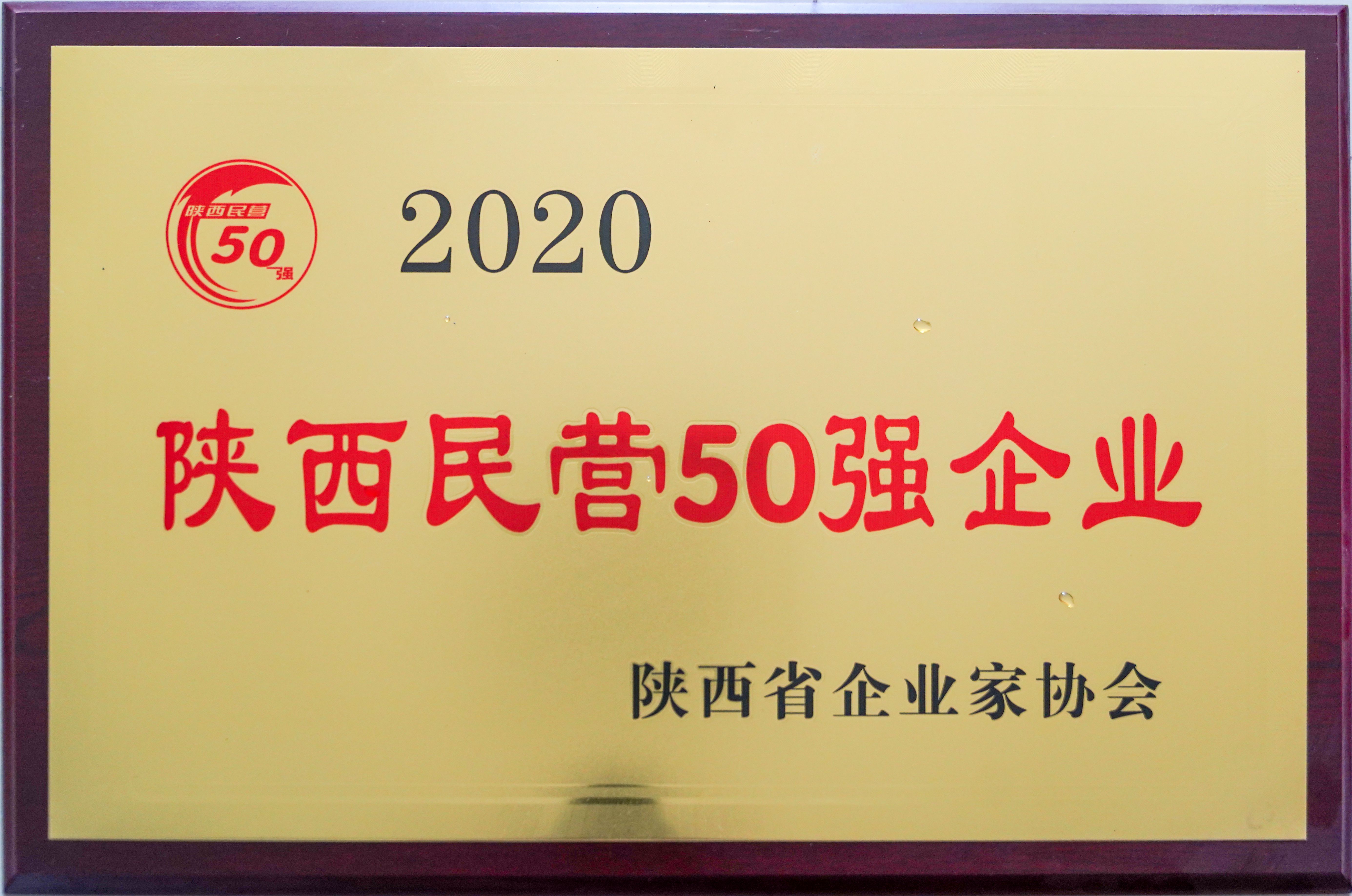 集團(tuán)榮獲2020年陜西民營50強(qiáng)企業(yè)