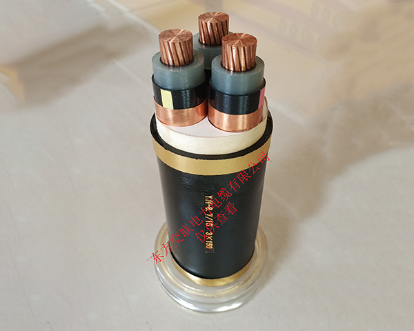 YJV-10-3X150-01