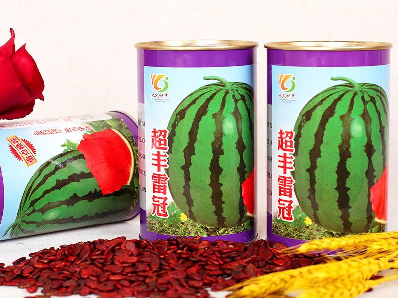 超豐雷冠