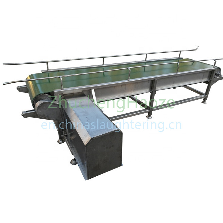 Belt type poultry cage conveyor