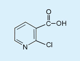 2-氯煙酸