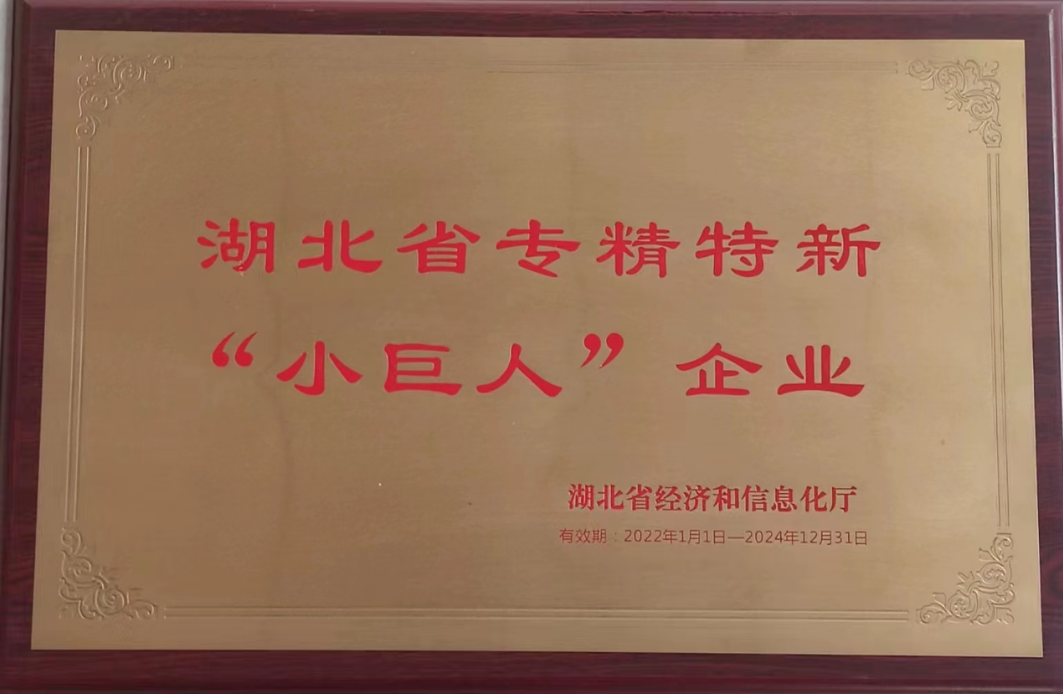 湖北省級(jí)專精特新