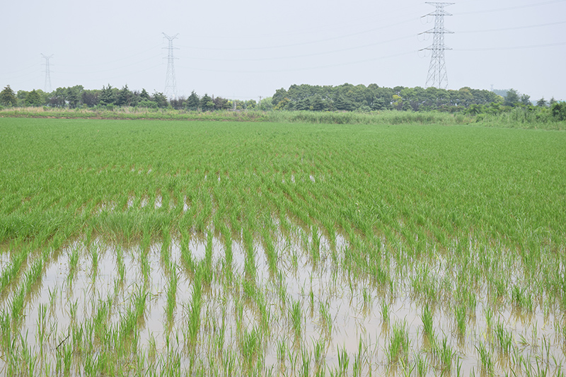 環(huán)境