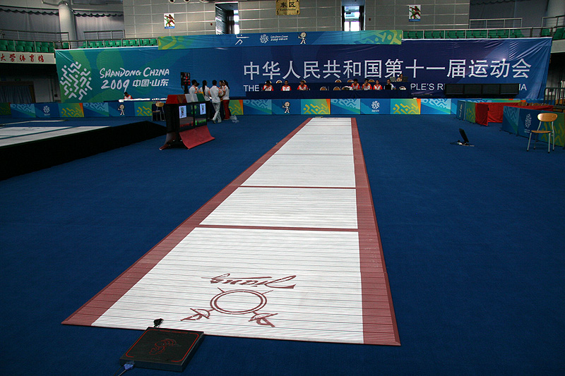 2009年中華人民共和國第十一屆運動會