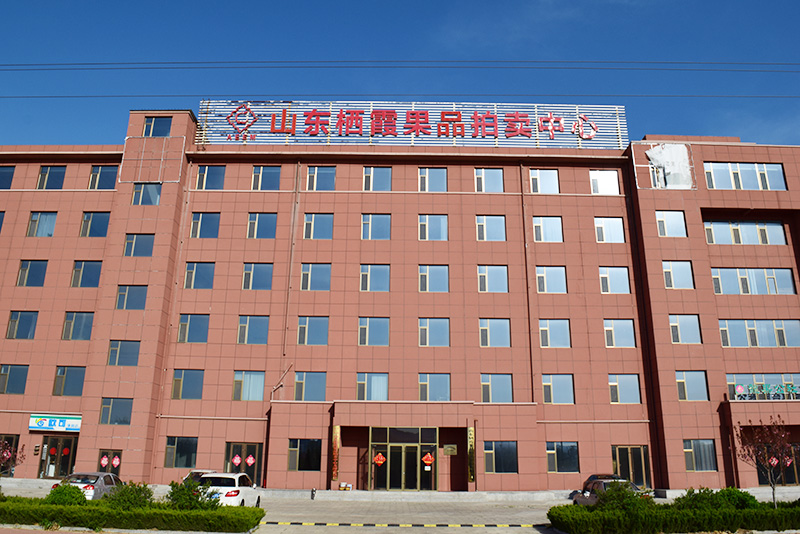 公司外景