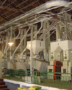 Complete set of Rice Milling Machinery Plant