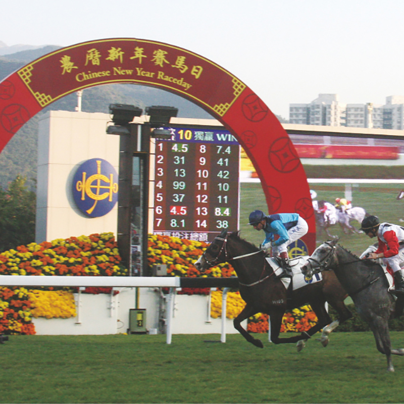 香港馬會馬匹飼養