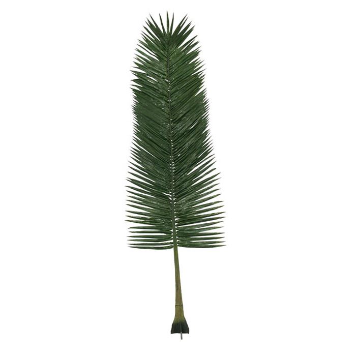 490CM-大椰子葉