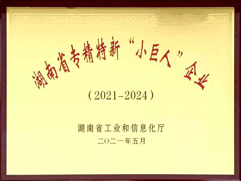 省小巨人獎(jiǎng)牌
