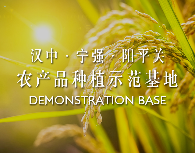 鑫龙和农业
