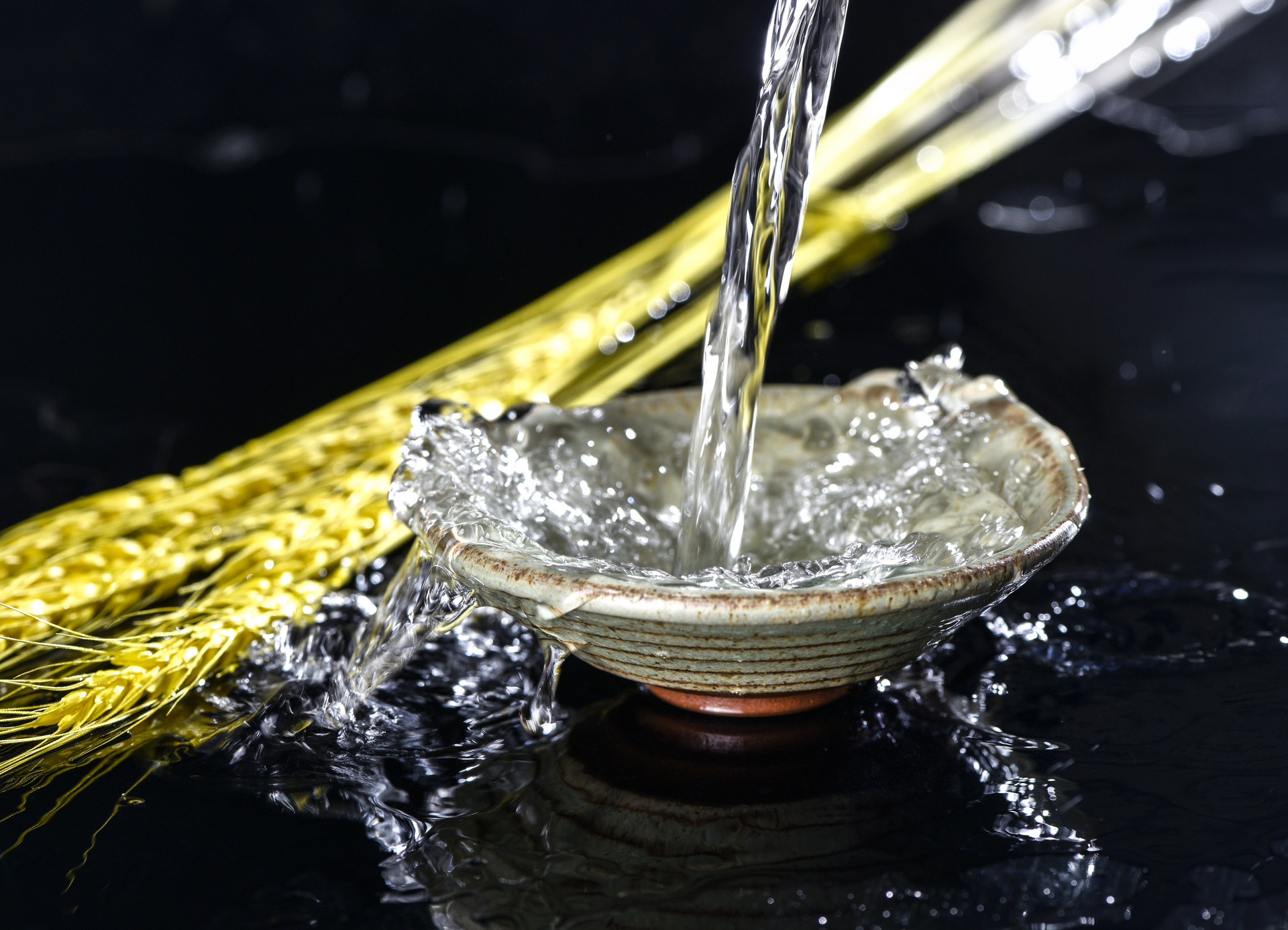 酒知識︱?yàn)槭裁凑f“啤酒大口喝，白酒小口抿”