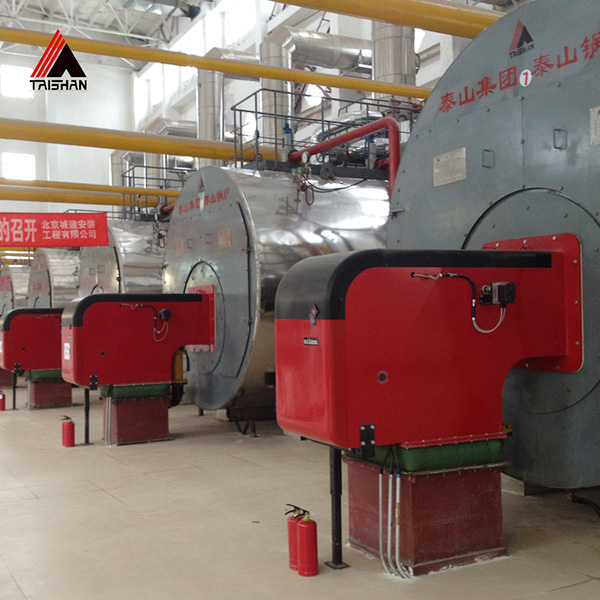 WNS Gas  fired Boiler