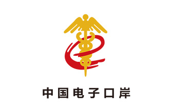  中国电子口岸