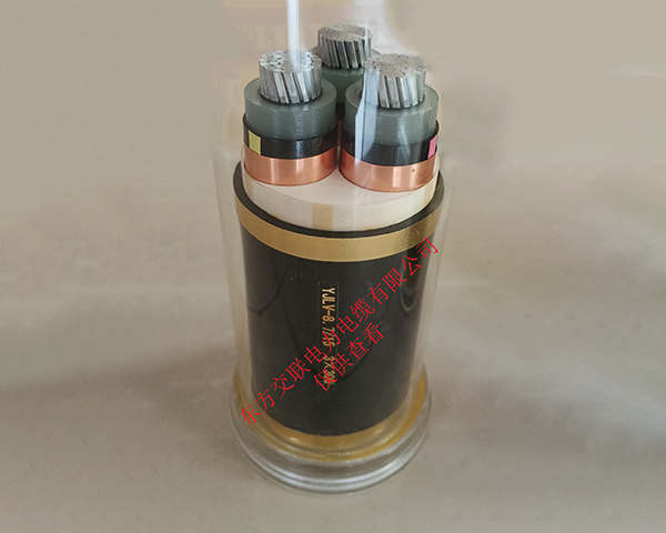 YJLV -10  3X300