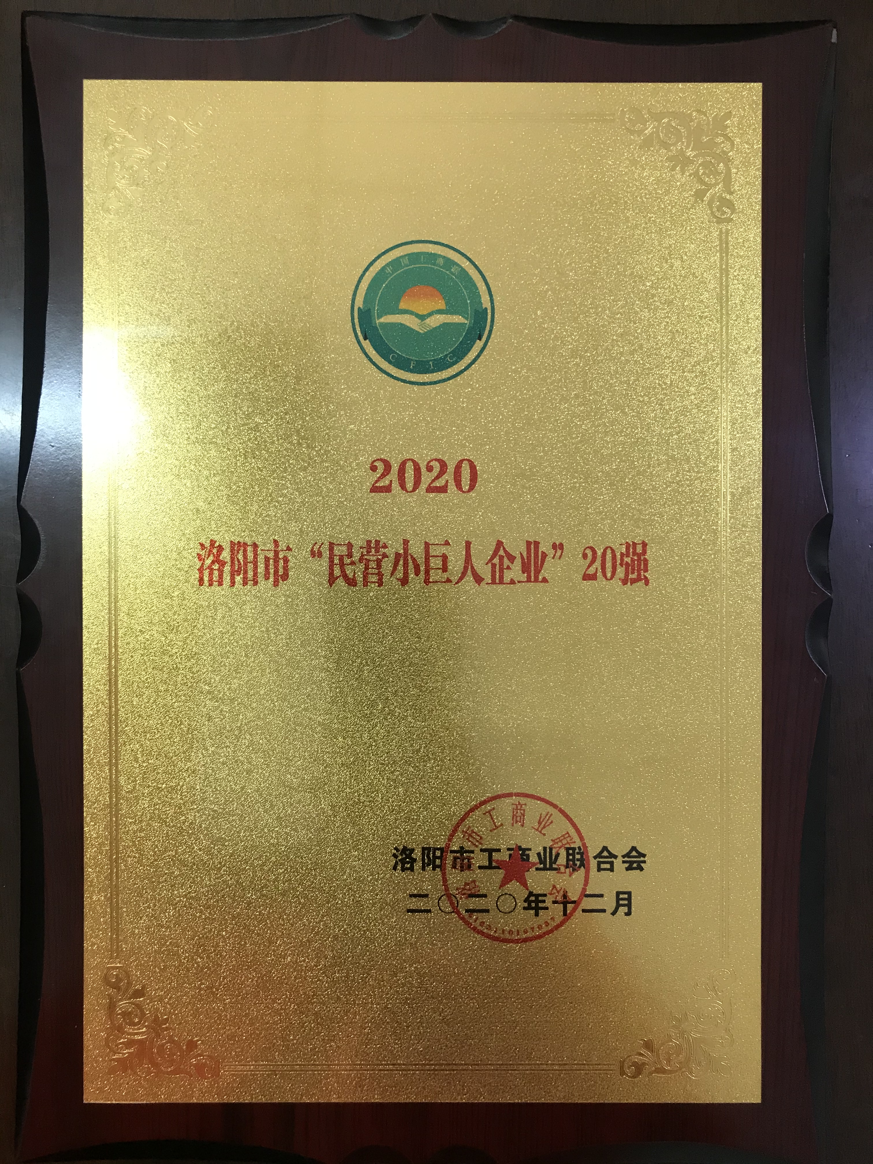 洛阳市“民营小巨人企业”20强
