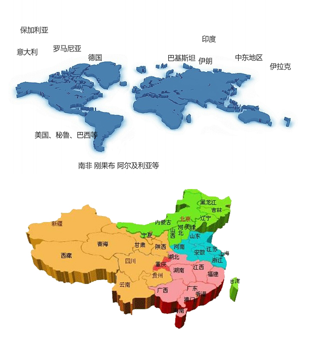 营销网络