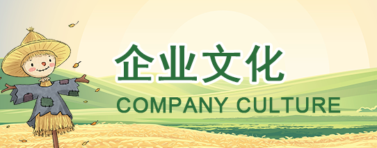 企业文化