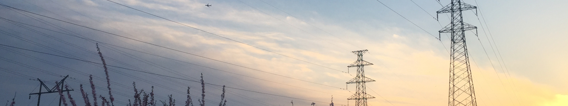 業務范圍