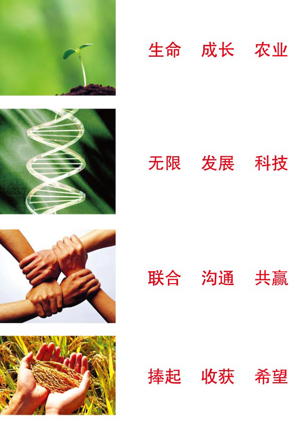 标识设计理念