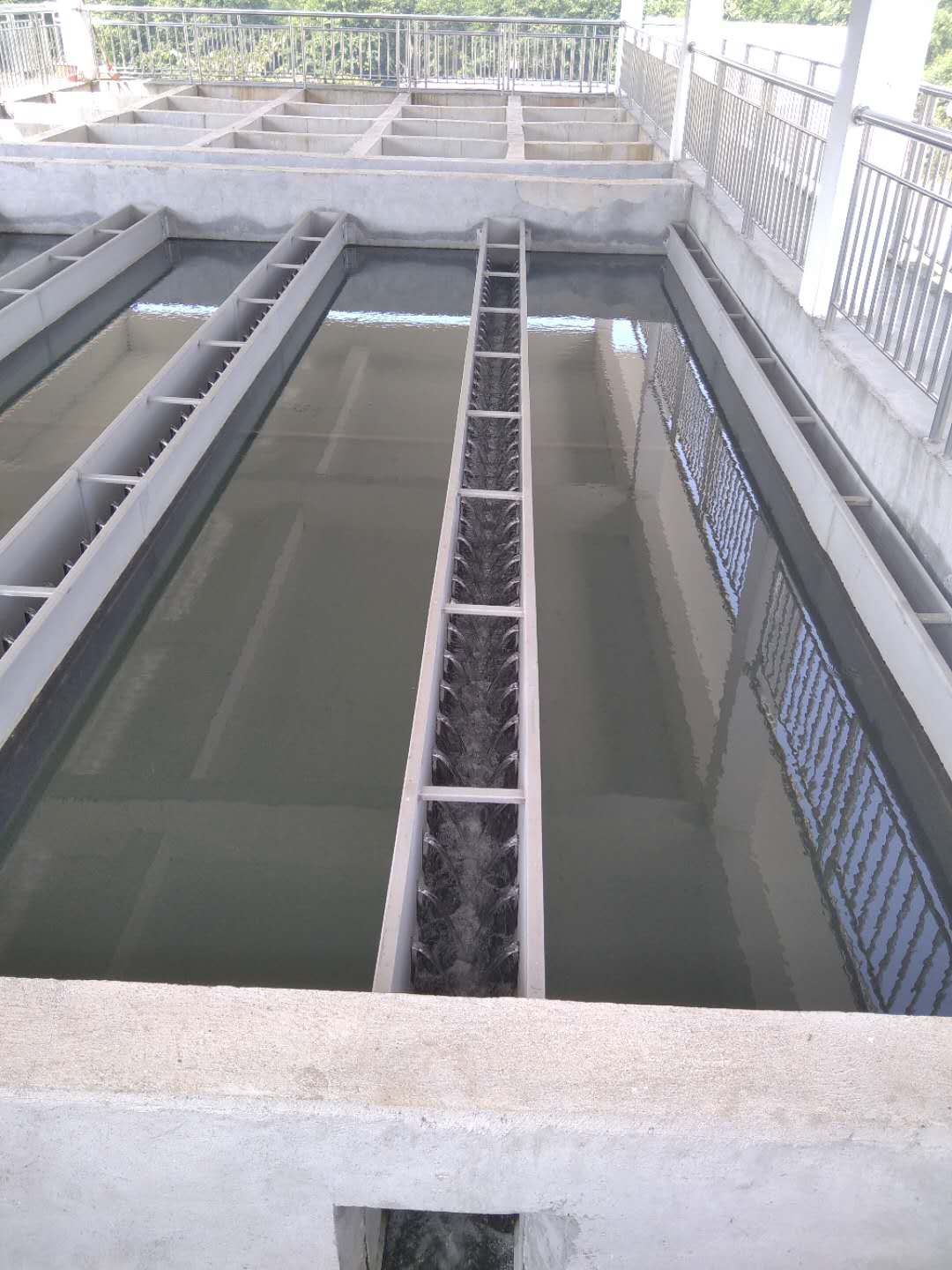 集水槽