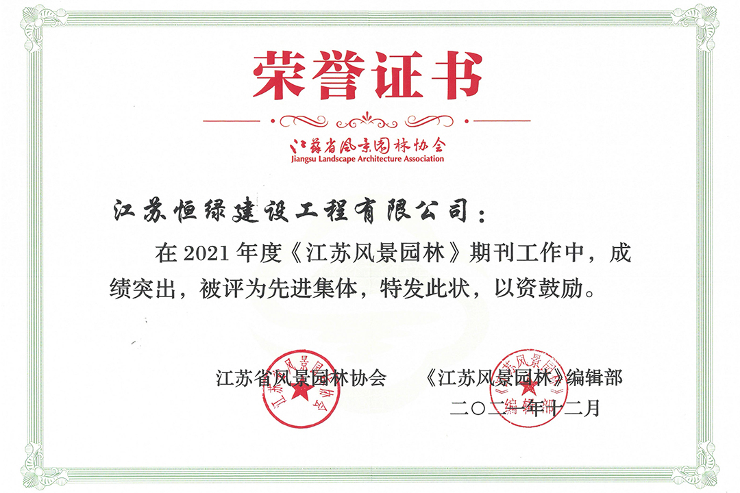 荣誉证书 (3)