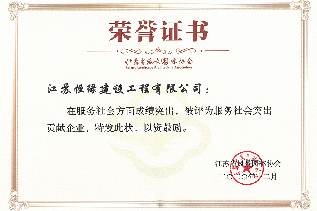 荣誉证书 (2)