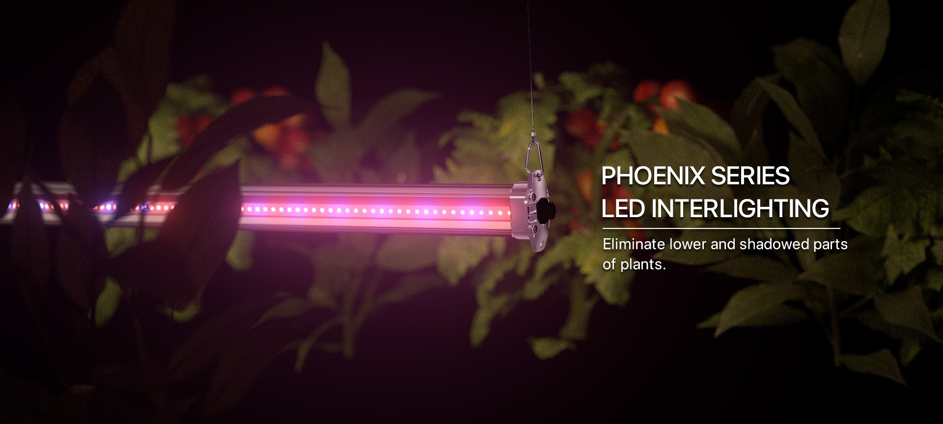 PHOENIX series Interlighting grow light