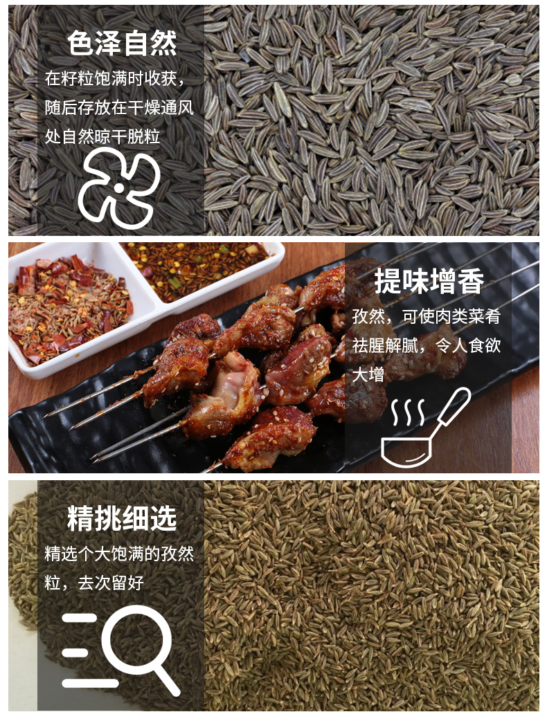 35g*100袋孜然粒