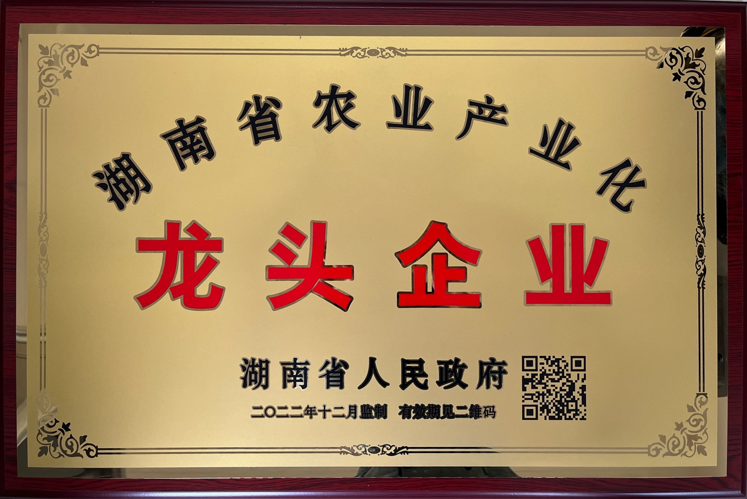 省龍頭企業(yè)
