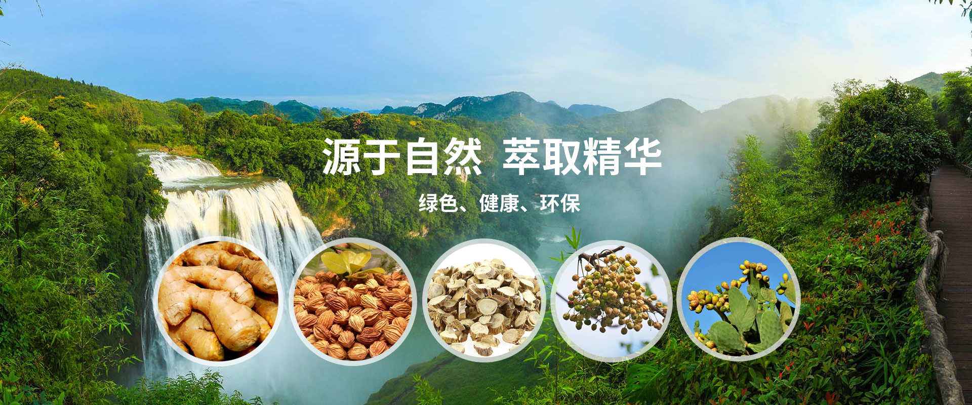 貴州省雷山縣毛克翕茶業(yè)有限公司