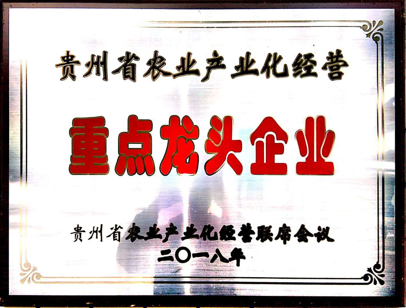 龙头企业（2）
