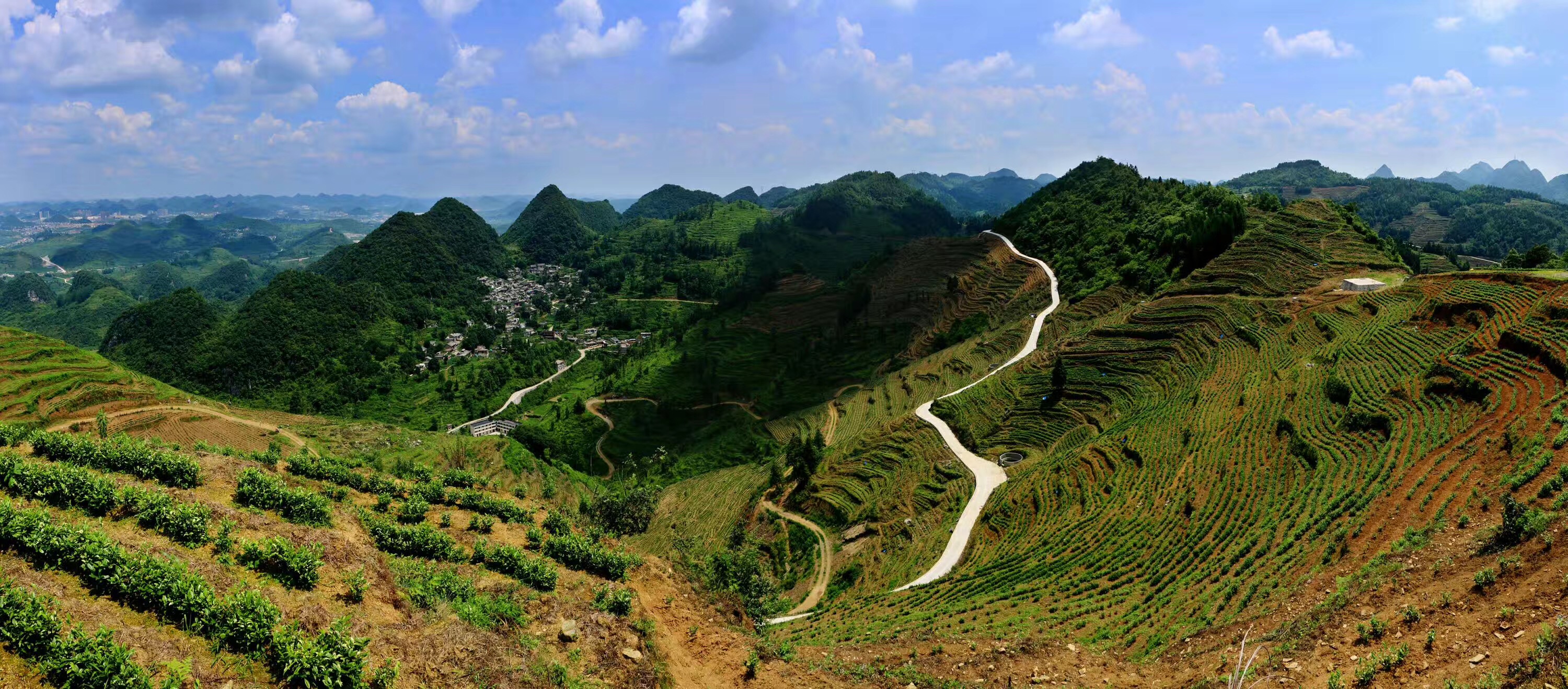茶山风景